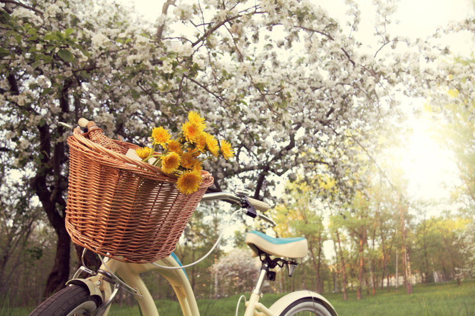 rower z koszykiem, w którym są kwiaty mlecze i książka