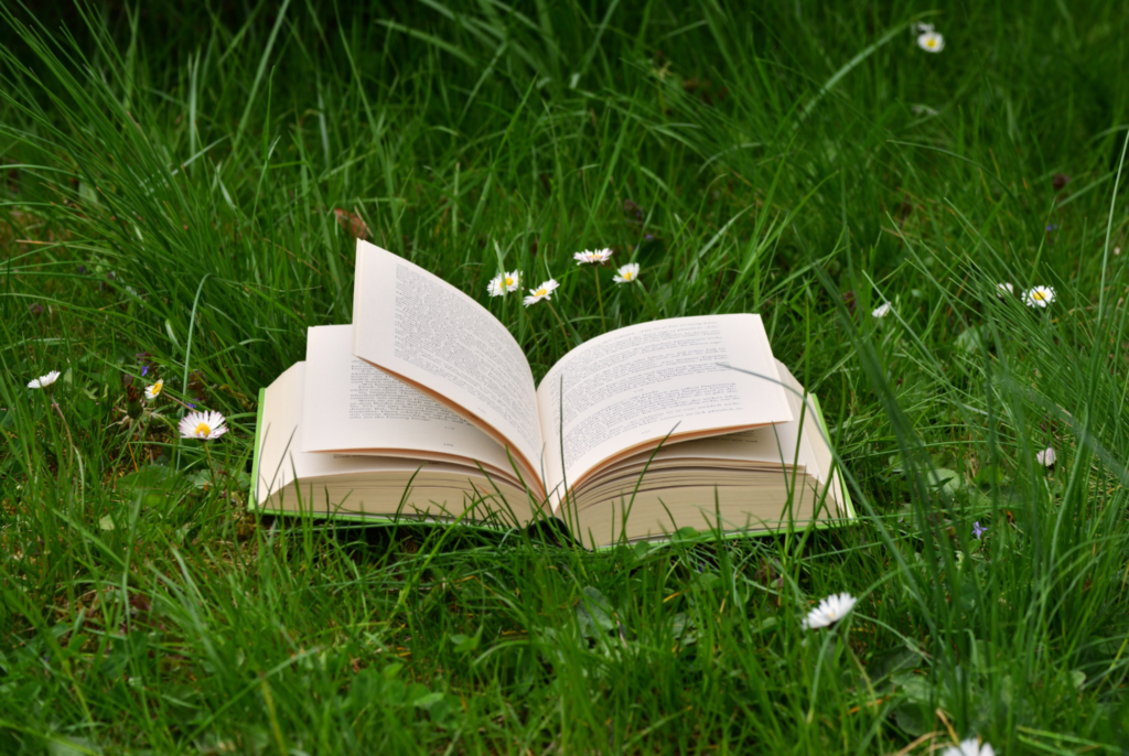 książka na trawie wśród stokrotek
