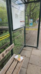 Książki wychodzą na miasto na przystanku autobusowym