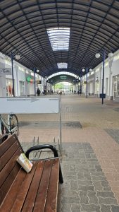 Książki wychodzą na miasto na Zaspie w Hali Lotnia